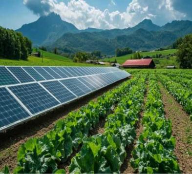 Energia solar rural no Brasil e Estados Unidos Energia solar rural no Brasil e Estados Unidos